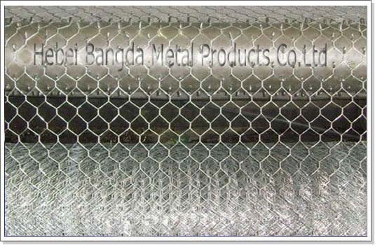 Hexagonal wire mesh