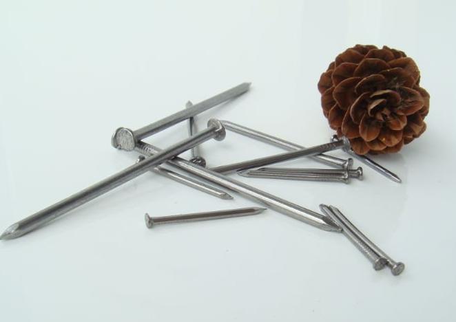 Common Wire Nail