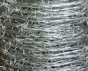 Barbed iron wire