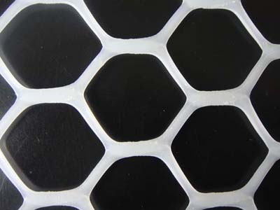 Diamond plastic netting BD-2