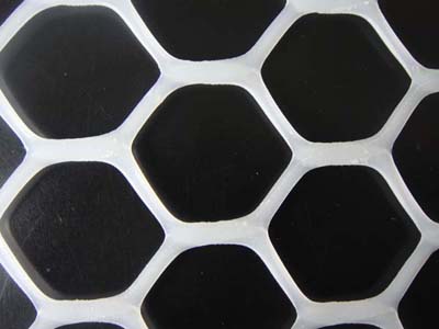 Diamond plastic netting BD-2