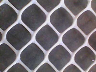 Plastic netting BD-1